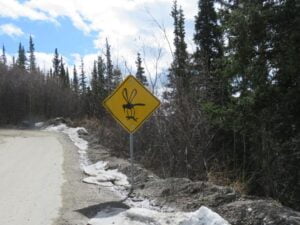 Eaten alive by mosquitoes? Here’s why.