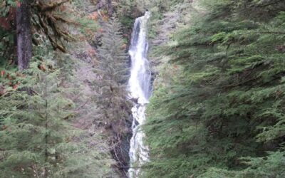 Somewhere Over the Rainbow: A Magical Ride to Wrangell, Alaska’s Rainbow Falls & Petroglyph Beach