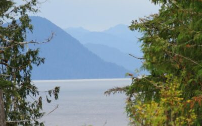 The violent death of an Alaskan bully
