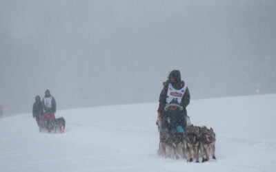 Almost Iditarod time