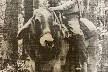 A Tribute to a Hunter Dying Young