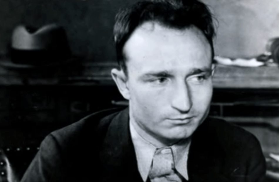 The Alfred Brady Bunch by Hank Nuwer