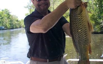 The one I wished I had let get away