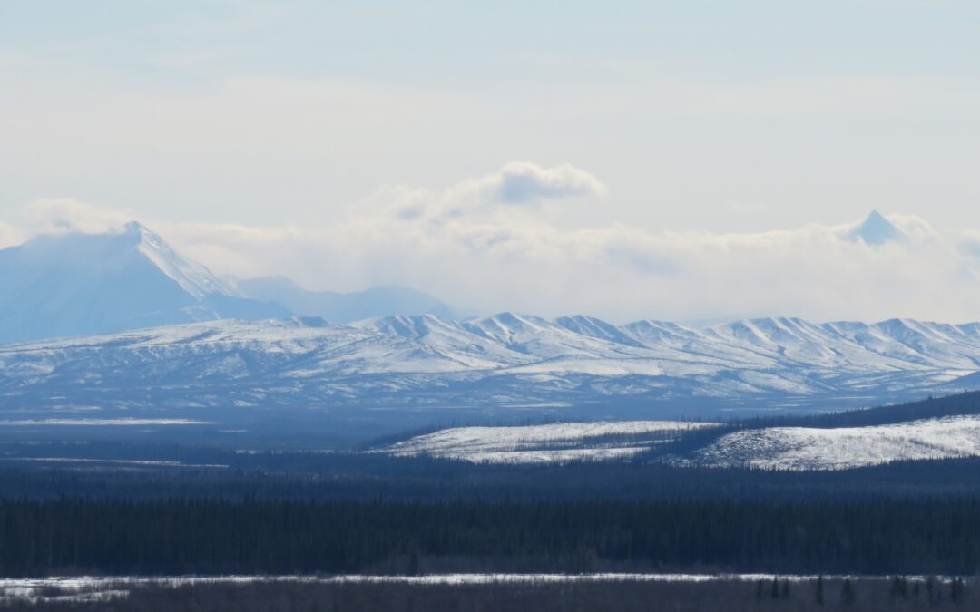 “Doc” Roland A. and Louise Lombard: Mushers from New England