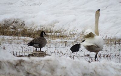 2024 Alaska Press Club winners