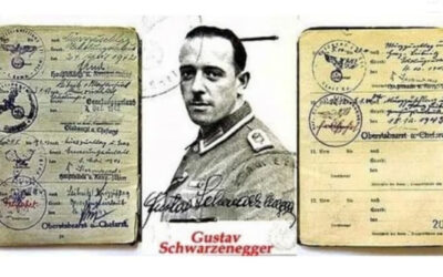 Gustav Schwarzenegger Nazi Party enrollment date examined in database