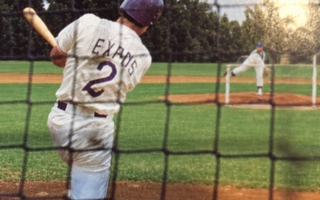 No Runs, No Hits, No Errors by Hank Nuwer   